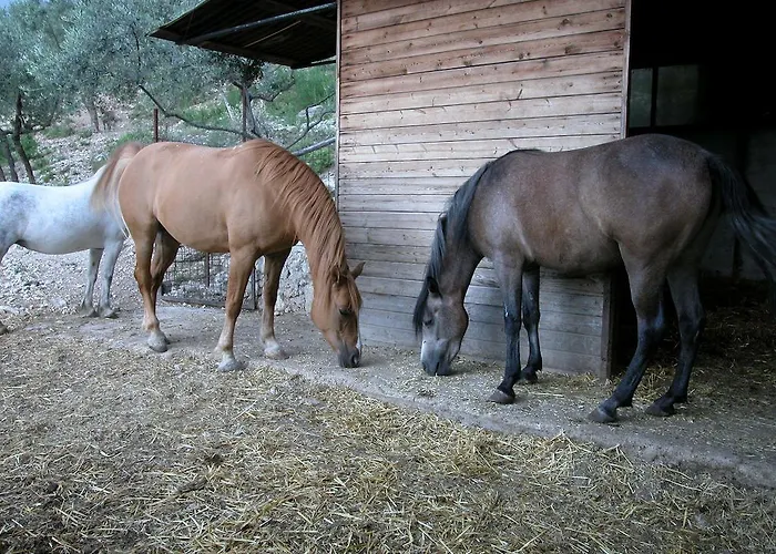 Agriturismo Istrice Innamorato