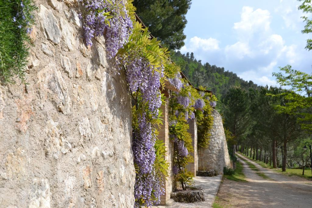 Vakantieboerderij Istrice Innamorato